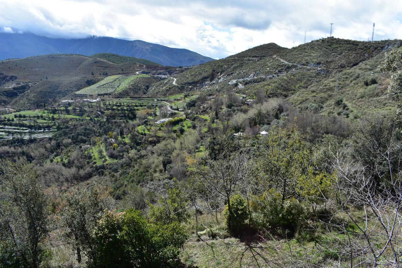 Dreams Alpujarra Apartment Pampaneira Exterior photo
